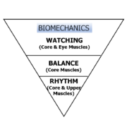 Biomechanics850