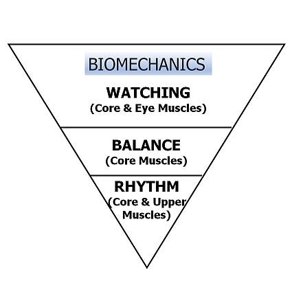Biomechanics